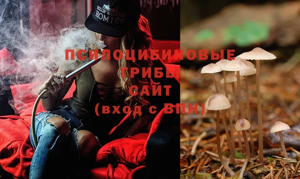 PSILOCYBIN Наволоки