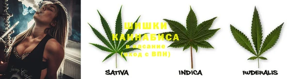 PSILOCYBIN Наволоки