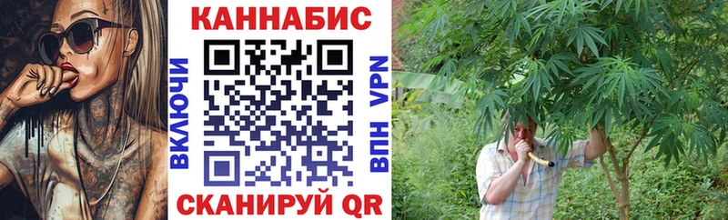 где купить   Петровск-Забайкальский  Марихуана план 